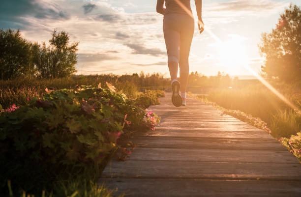 Healthy Rest Habits for Sustainable Wellness